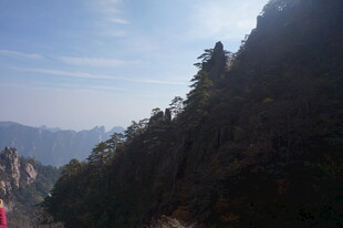 峻峭山峰上的挺拔树木