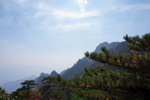 秀丽山峦与葱郁植被景观