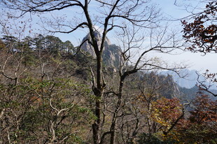 秋日山林中的嶙峋怪石