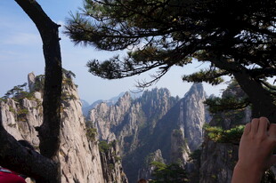 黄山美景现 迎客松展风姿