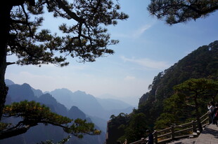 山间美景 松立栈道旁