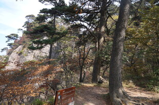 山林间的幽静小径