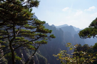 山间松影伴巍峨山峦