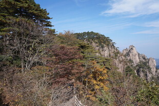 山间秋景 多彩植被与蓝天