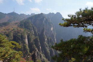 壮丽山景与挺拔青松