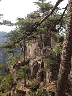 黄山奇峰上的苍松景观