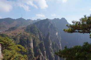 壮丽山峰与葱郁树木景观