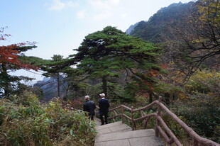 山间木栈道上的漫步游客