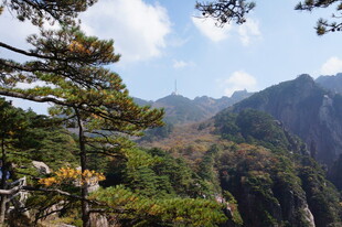 壮美山景与苍松