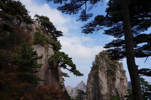 黄山奇峰与苍松美景