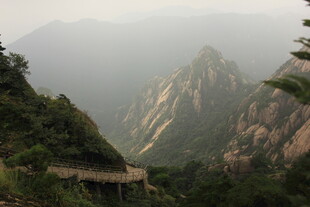 山间栈道穿梭于青山之中