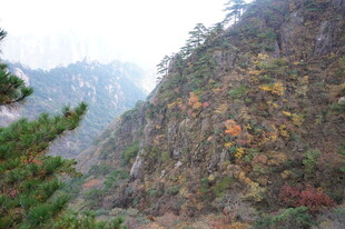 秋日山林峡谷美景