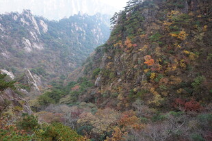 秋日山间斑斓景色