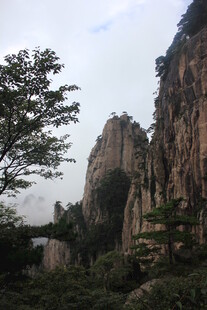 巍峨山峰与葱郁树木景观