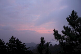 黄昏下的松林美景