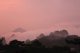 晨曦中云雾缭绕的山林