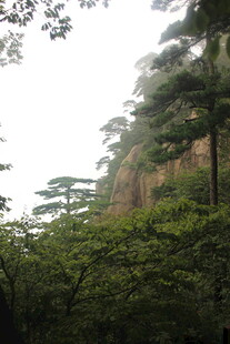 山林间的峭壁与葱郁树木