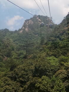 山间缆车穿行于翠绿山林