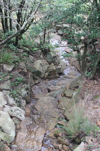 山间溪流旁的自然景致