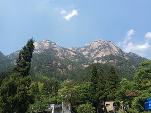 秀丽山峦与葱郁林木景观