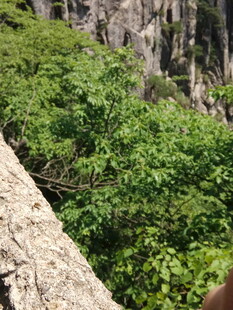 山间葱郁植被与陡峭岩壁