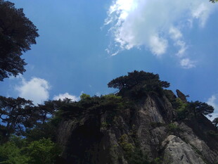 峻峭山峰与葱郁林木
