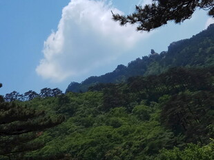 青山蓝天间的葱郁山林