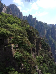 峻峭山峦覆绿植