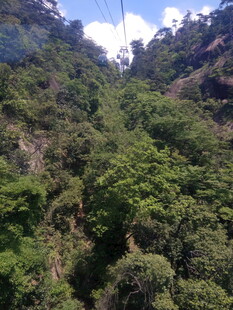 山间茂密葱郁的绿色植被