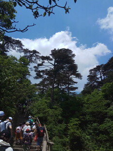 山林间的徒步旅行队伍