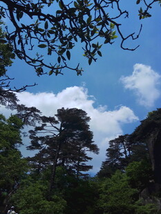 山林蓝天间的自然景致