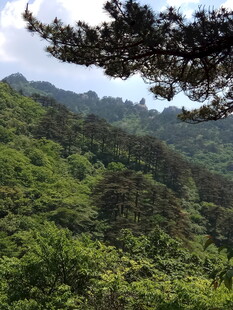 青山绿树间的自然美景