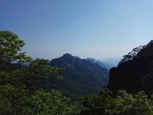 青山绿树间的秀丽山景