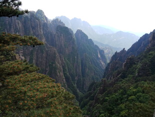 壮丽山峦间的葱郁景致