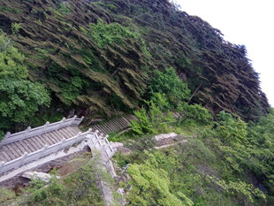 山间蜿蜒石阶 绿意环绕