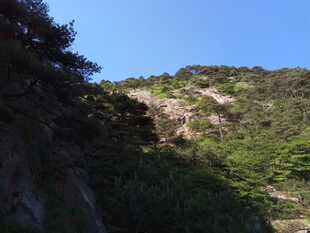 青山绿树间的秀丽山景