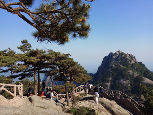 黄山美景 松与山的壮丽画卷