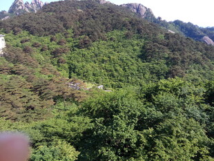 青山葱郁的山间美景