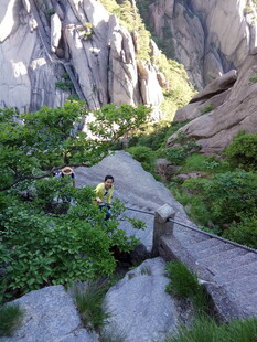 山间小径 绿植环绕的美景