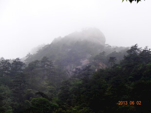 云雾缭绕的山林美景