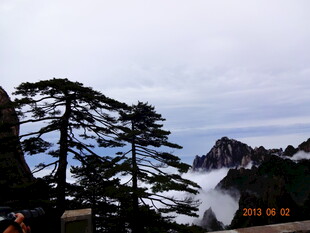 黄山奇松云海壮丽景观