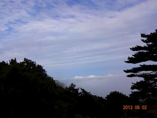 蓝天绿树间的自然景致