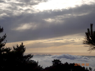 黄昏时分的天空与树木景观