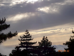 黄昏下的古塔与松林