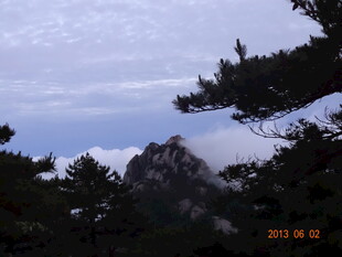 山间松影与云雾景观