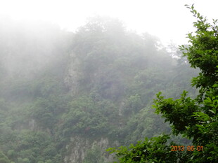 山间云雾缭绕的绿意景致