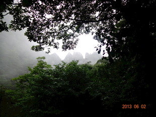 山林雾景 绿意盎然