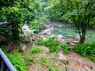 山林间的清幽溪流景致