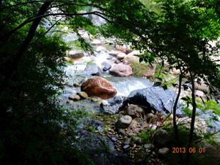 山林间的潺潺溪流