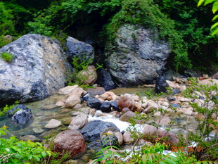 山间溪流与岩石绿植景观